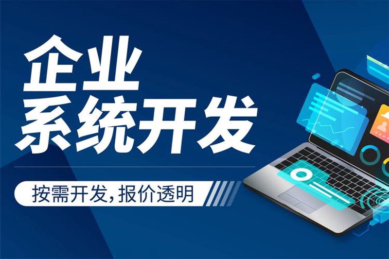 APP定制开发：企业数字转型的新引擎